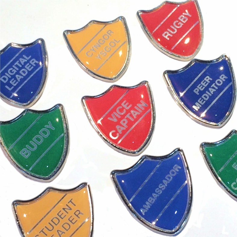 ANTI-BULLYING AMBASSADOR shield badge