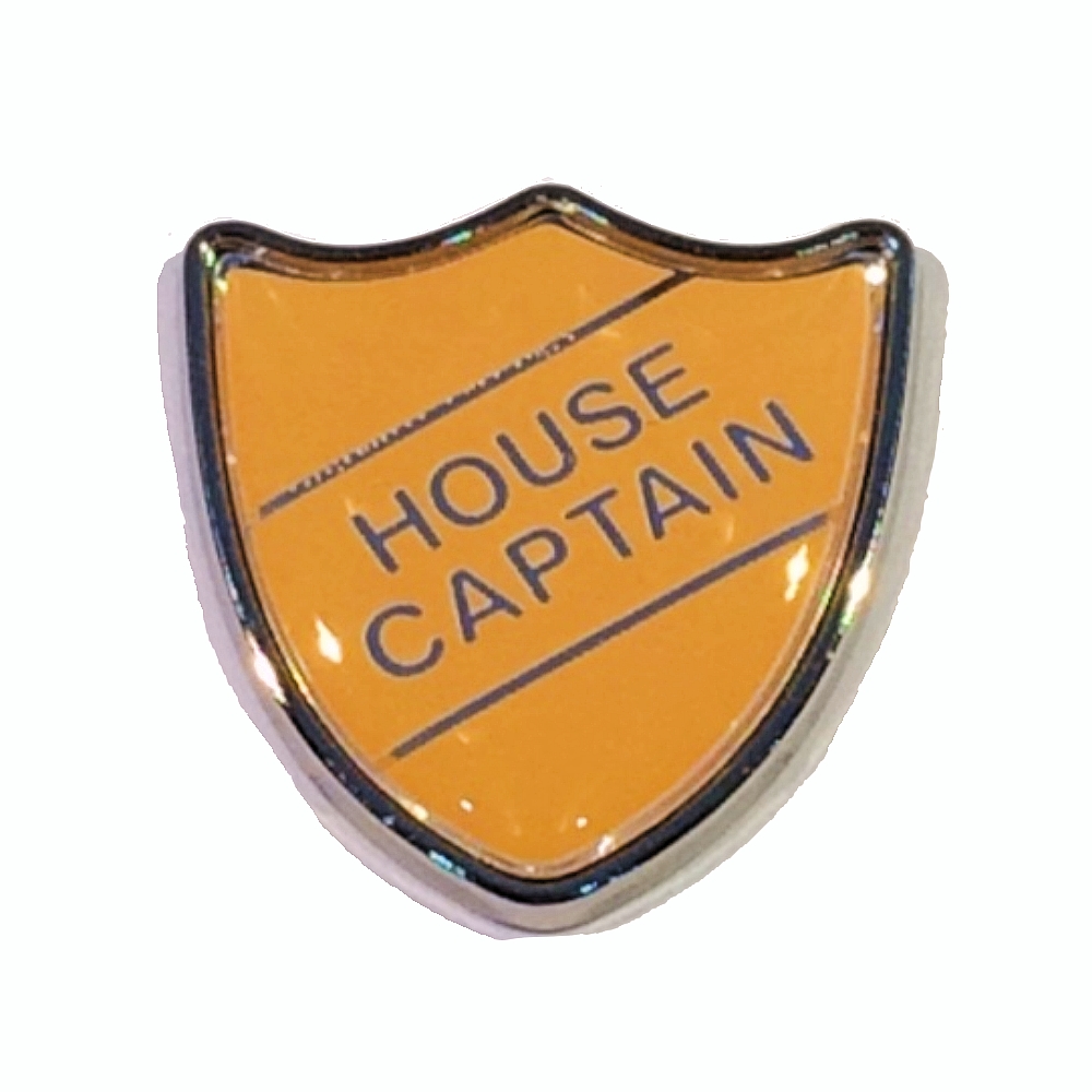 HOUSE COUNCIL shield badge